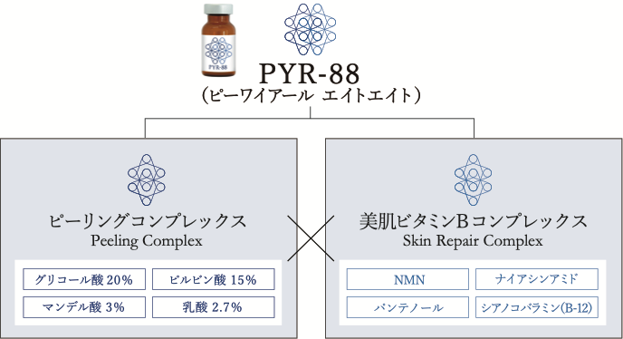 PYR-88の説明図